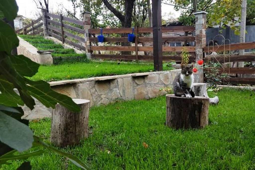 The Wild Fig Hotel Shumen Luaran gambar